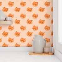 Orange Cat with polka dots background