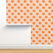 Orange Cat with polka dots background