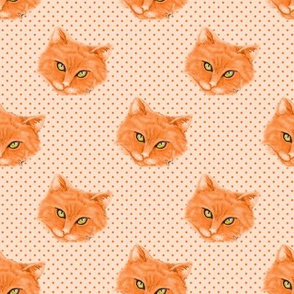 Orange Cat with polka dots background