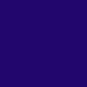 Solid Dark Purple - plain purple - hex 22066d - Unpatterned