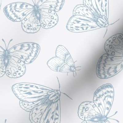 spring butterflies and moths