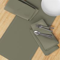 solid gray green