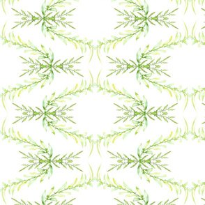 Rococo Seaweed on White Background 