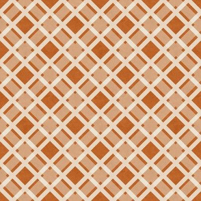 White Lattice on Terracotta Texture