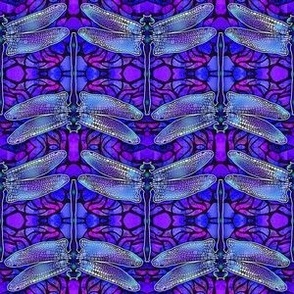 Dragonfly Allure Purple - small