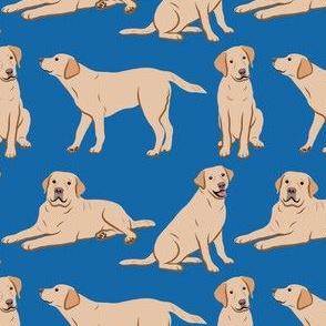 Yellow Labrador Retriever Dogs - Dark Blue