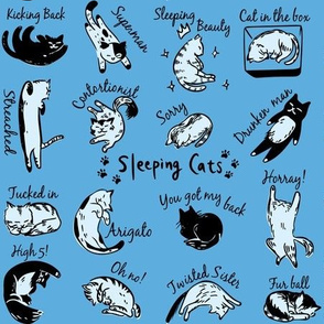 Sleeping cats English version blue