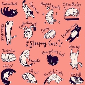 Sleeping cats pink English version 