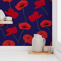 Poppies on dark blue background