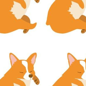 Corgi Pattern