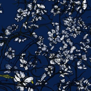 Dombeya flowers in midnight bluemedium
