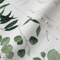 Eucalyptus Leaves Greenery Watercolor Floral