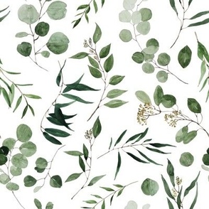 Eucalyptus Leaves Greenery Watercolor Floral