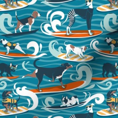 Small scale // Happy dogs catching waves // turquoise background aqua waves brown white and blue doggies orange surf and bodyboards