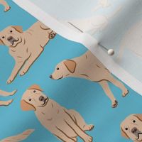 Yellow Labrador Retriever Dogs - Light Blue