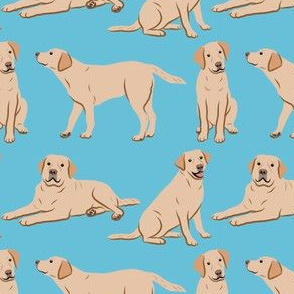 Yellow Labrador Retriever Dogs - Light Blue