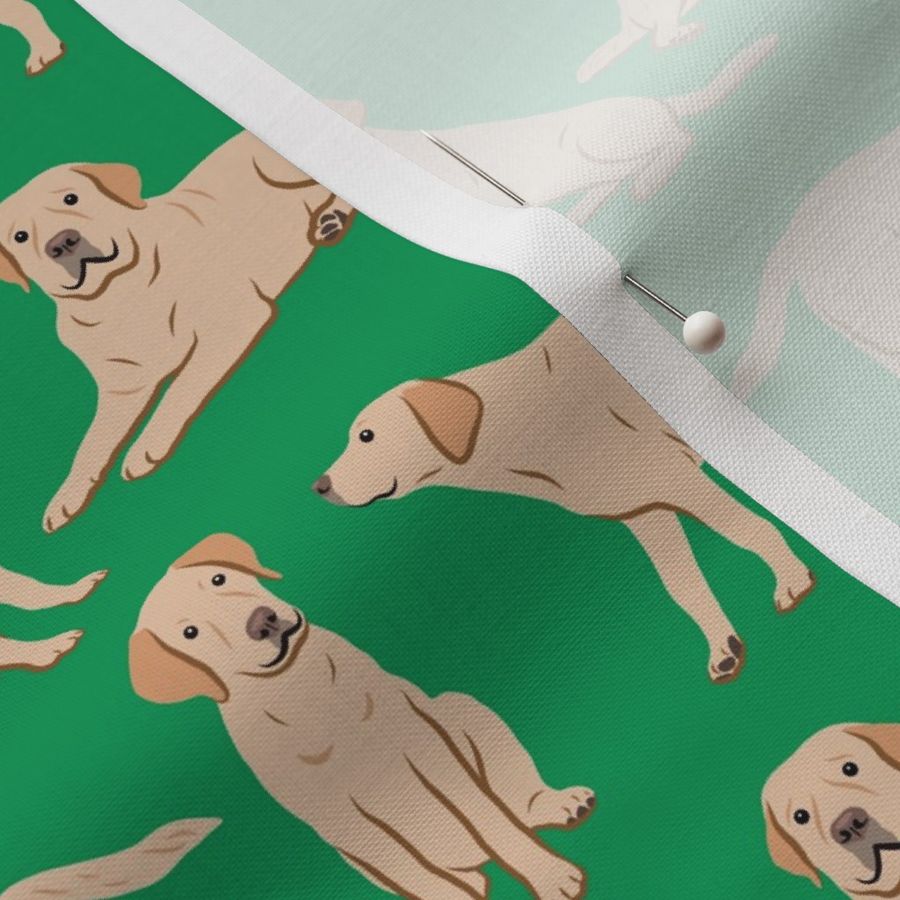 Yellow Labrador Retriever Dogs - Green