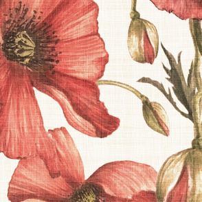 Vintage Poppies Fabric, Wallpaper and Home Decor | Spoonflower
