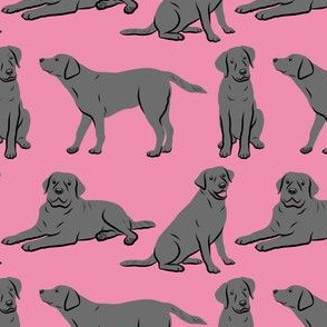 Black Labrador Retriever Dogs - Pink
