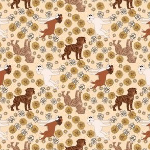 Boxer Dog Florals - boxer dog fabric, sunflowers and daisies -tan