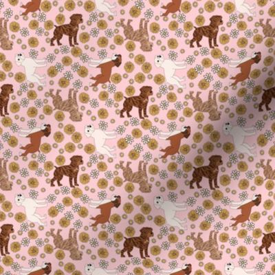 Boxer Dog Florals - boxer dog fabric, sunflowers and daisies -pink