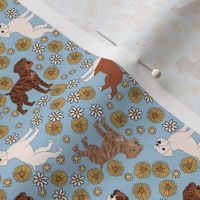 Boxer Dog Florals - boxer dog fabric, sunflowers and daisies -blue