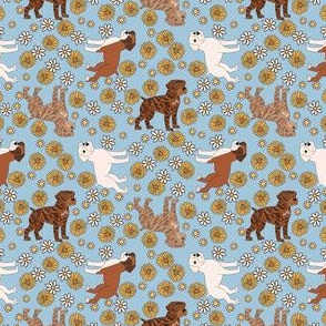 Boxer Dog Florals - boxer dog fabric, sunflowers and daisies -blue