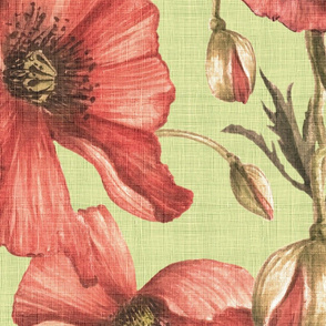 vintage poppies green (jumbo)