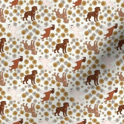 Boxer Dog Florals - boxer dog fabric, sunflowers and daisies -cream