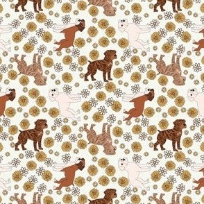 Boxer Dog Florals - boxer dog fabric, sunflowers and daisies -cream