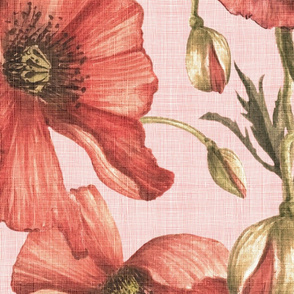 vintage poppies pink (jumbo)