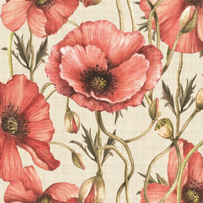 vintage poppies cream