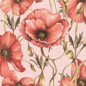 vintage poppies pink