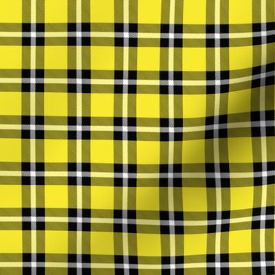 Yellow Plaid - Small (Rainbow Collection)