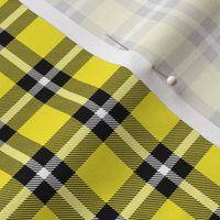Yellow Plaid - Small (Rainbow Collection)