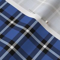 Blue Plaid - Small (Rainbow Collection)