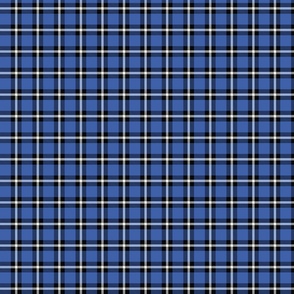 Blue Plaid - Small (Rainbow Collection)