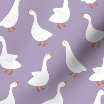 lavender geese