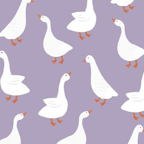lavender geese