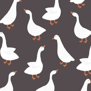 umber geese