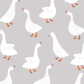 gray geese