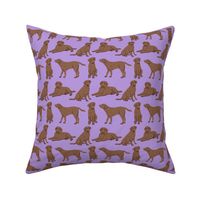 Brown Labrador Retriever Dogs - Purple
