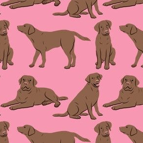 Brown Labrador Retriever Dogs - Pink