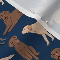 Different Labrador Retriever Dogs - Navy