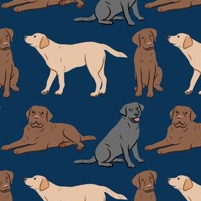 Different Labrador Retriever Dogs - Navy