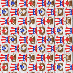 Uncle Sam Gnomes on Shiplap rotated - medium scale