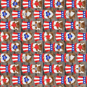 Uncle Sam Gnomes on Barn Wood Rotated - medium scale