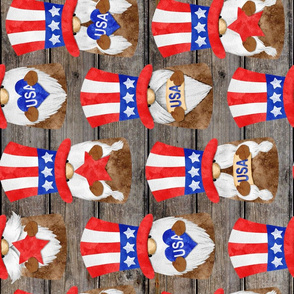 Uncle Sam Gnomes on Barn Wood Rotated - large scale