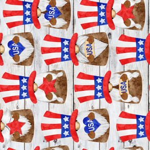 Uncle Sam Gnomes on Shiplap rotated - large scale