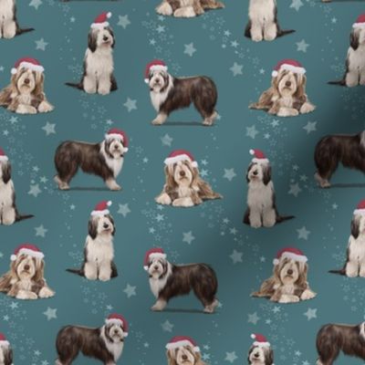 The Bearded Collie Christmas